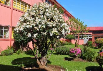 random_ic_2025 random_ic_2025